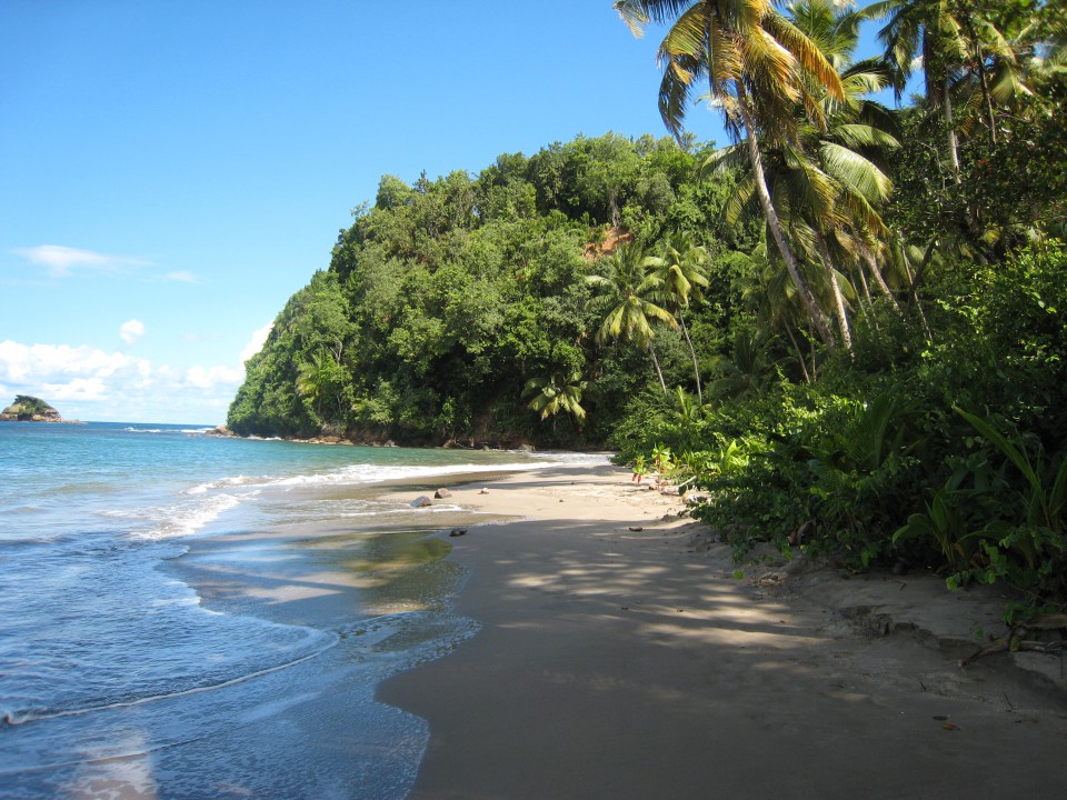 Beach Dominica