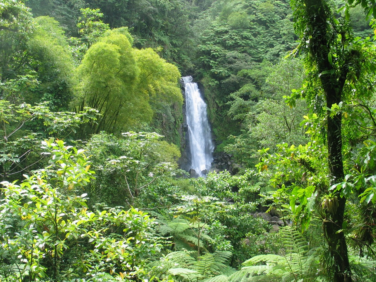 dominica_trafalgar_falls_mamma_1 | Ethical Traveler